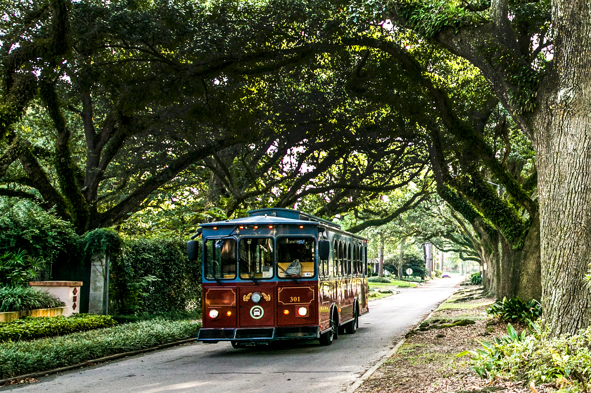 images-trolley-gdca