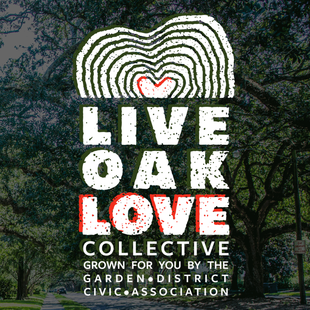 Live Oak Love Collective UPDATE: Makes Progress on Park Blvd!
